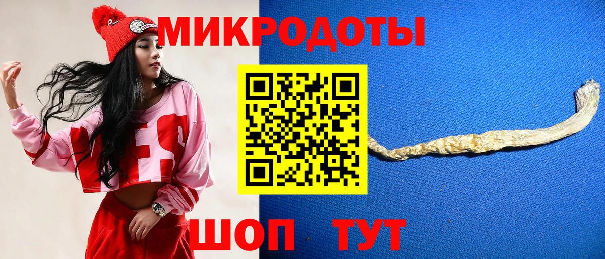 Галлюциногенные грибы Psilocybine cubensis Курчатов
